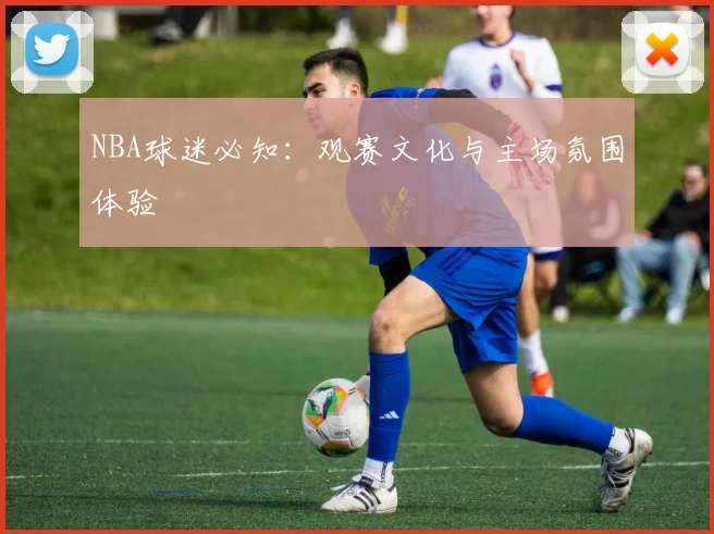 NBA球迷必知:观赛文化与主场氛围体验