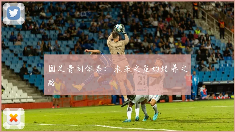 国足青训体系：未来之星的培养之路