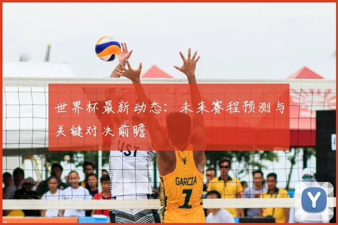 世界杯最新动态：未来赛程预测与关键对决前瞻