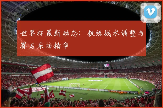 世界杯最新动态：教练战术调整与赛后采访精华