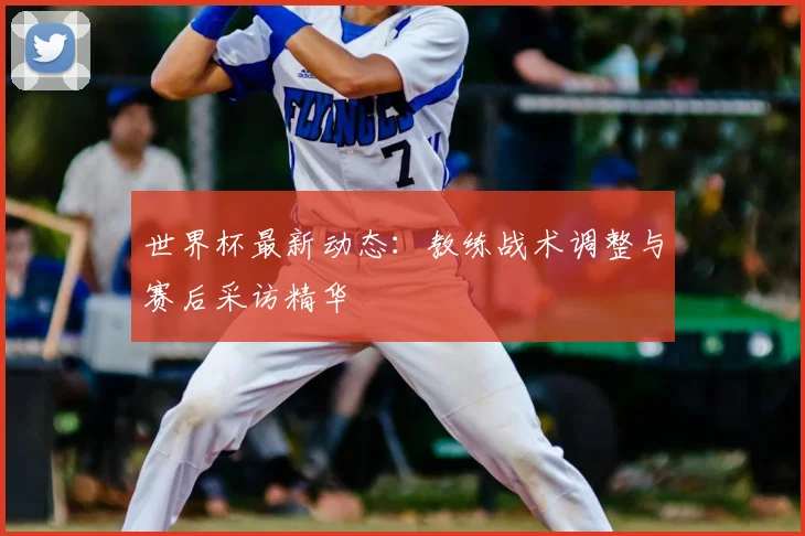 世界杯最新动态：教练战术调整与赛后采访精华